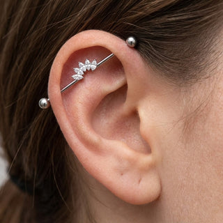 Titanium Industrial Barbell Marquise Crystal Fan Internally Threaded