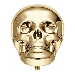 Titanium Top Anatomical Human Skull Internally Threaded