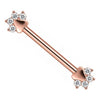 Titanium Nipple Piercing Animal Paw Print Zirconia Internally Threaded